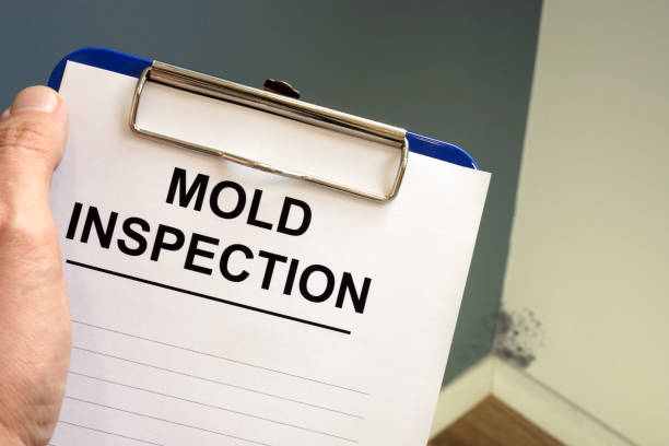 Mold Remediation for Vacation Homes in Roseville, CA